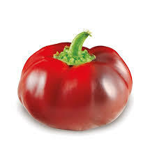 PEPERONE GOGSHAR (CA'MAGRE)