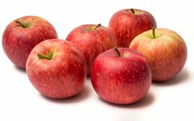 MELA GALA (BIO MERAN)