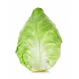 CAPPUCCIO A PUNTA (BELANES M.S.)