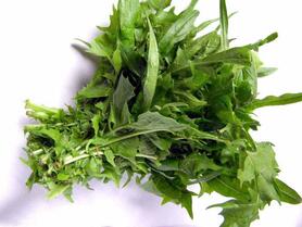 RADICCHIO DA CAMPO (CA'MAGRE)