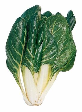 BIETA DA COSTA BARESE (PENTASSUGLIA)