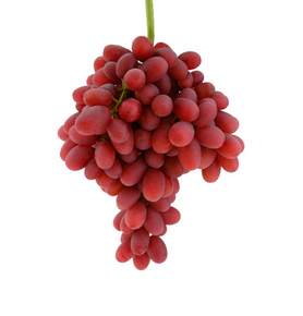 UVA ROSA SENZA SEMI (DEMETRA)