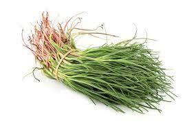 AGRETTI (CA'MAGRE)