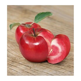 MELA ABBONDANZA (GORDINI L.)