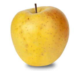 MELA GOLD RUSH (CORTE BONEGA)