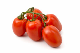 POMODORO PICCADILLY (Olivieri S.)
