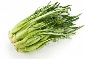 CICORIA A PUNTARELLE  (PENTASSUGLIA)