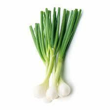 CIPOLLOTTI A MAZZI (TERRAMIA)