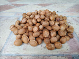 MANDORLE IN GUSCIO SACCO DA 5KG  VDB