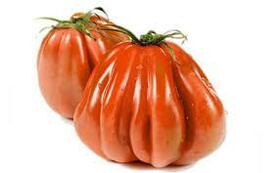 POMODORO CUORE DI BUE ( BONADIMAN)