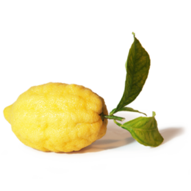 LIMONE SFUSATO (Miniaci A.)