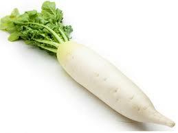DAIKON   (Ca'Magre)