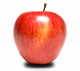 MELA PINOVA (FORADORI N.)