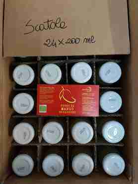 SUCCO DI MANGO 200ML A SCATOLA - PV