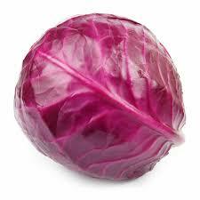 CAPPUCCIO ROSSO (Mio Orto Bio)