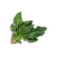 SPINACIO PIANTA INTERA (CA'MAGRE)