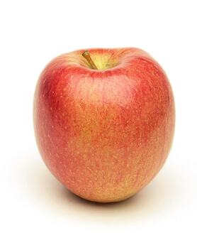 MELA BRAEBURN  (FORADORI N.)