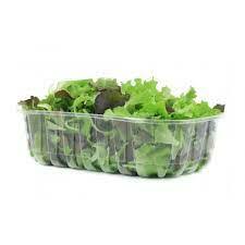 LATTUGA DA TAGLIO VASCHETTA  (Ca'Magre)