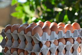 UOVA GALLINA 30 PZ.  CARTONE DA 6 PIANETTE - FP