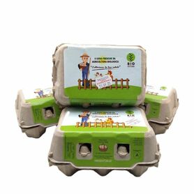 UOVA GALLINA 6PZ. CARTONE DA 22 CONFEZIONI - FP