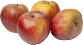 MELA BOSKOOP (Chini E.)