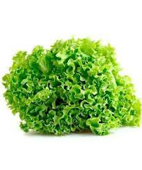 LATTUGHE MISTE (FARI S.)