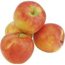 MELA JUBILEE   (TAVONATTI G.)