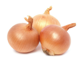 CIPOLLA DORATA  (FERRARINI M.)