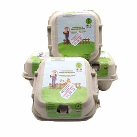 UOVA GALLINA 4PZ.  CARTONE CON 22 CONFEZIONI - FP