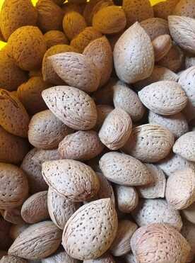 MANDORLE IN GUSCIO 5 KG A