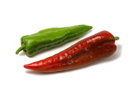 PEPERONE CORNO DI BUE  (TERRAMATTA)