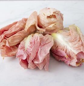RADICCHIO ROSATO A CUORE  (Ca'Magre)