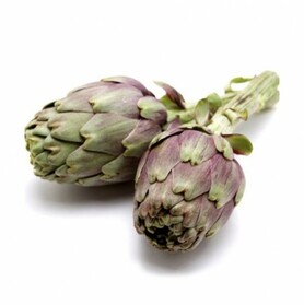 CARCIOFO VIOLETTO (BONORA)