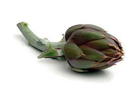 CARCIOFO SPINOSO (Concas A.)