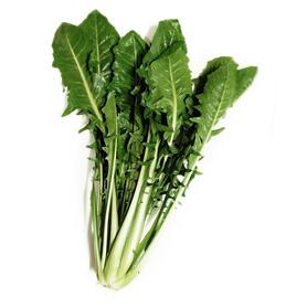 CATALOGNA (PENTASSUGLIA)