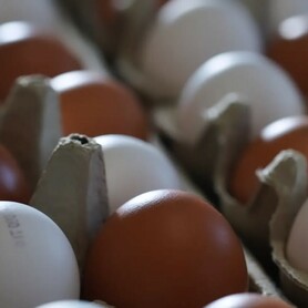 UOVA GALLINA 30 PZ. 1 PIANETTA VLL