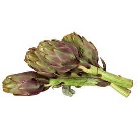 CARCIOFO TEMA  (Concas A.)