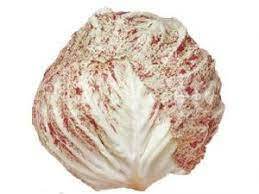RADICCHIO VARIEGATO  (MAZZI IDA)