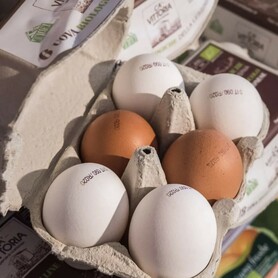 UOVA GALLINA 6 PZ. 1 CONFEZIONE VLL