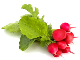 RAPANELLI A MAZZI (TERRAMIA)