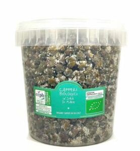 CAPPERI IN SALE DI MARE CESTELLO 1 KG - BEG