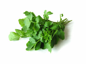 CRESCIONE A MAZZI  (RE LAURINO DI ZANNINI G.)