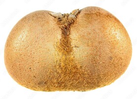 KIWI PIATTI (PIETROPOLI G.)