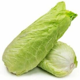 RADICCHIO PAN DI ZUCCHERO (FARI STEFANO)