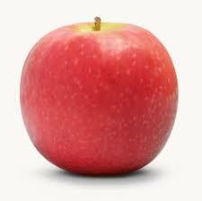 MELA CRIPPS PINK  (CORTE BONEGA)