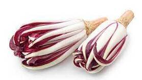 RADICCHIO ROSSO TARDIVO (EL TAMISO)