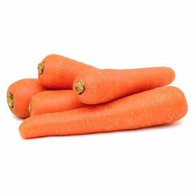 CAROTA (MIO ORTO BIO)