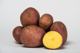 PATATA ROSSA NOVELLA (AGRINOVA)
