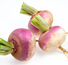 RAPA COLLETTO VIOLA (TAVONATTI G.)