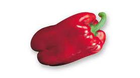 PEPERONE COLORATO (BIOMIGLIORE)